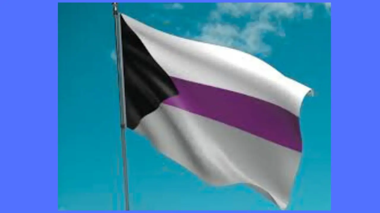 Demisexual Flag
