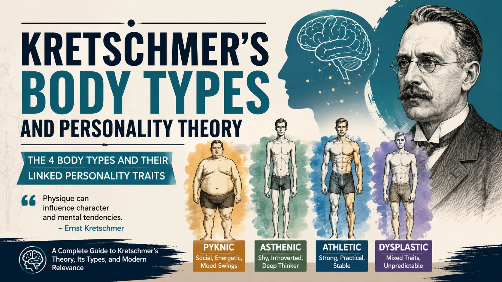 Kretschmer's body types and personality theory infographic showing the four body types: Pyknic, Asthenic, Athletic, and Dysplastic.